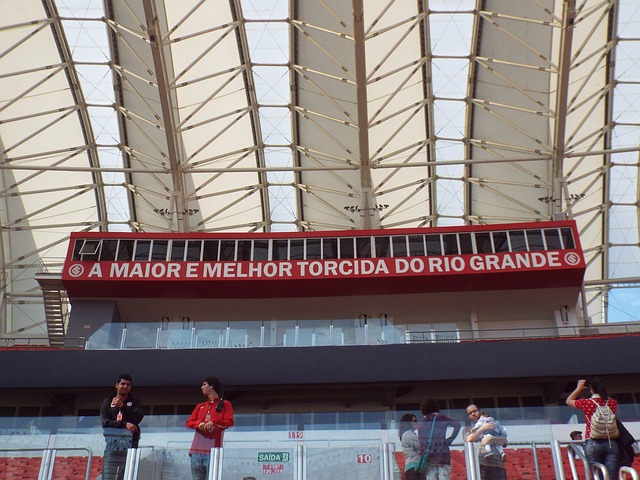 在国际赛场 在国际赛场