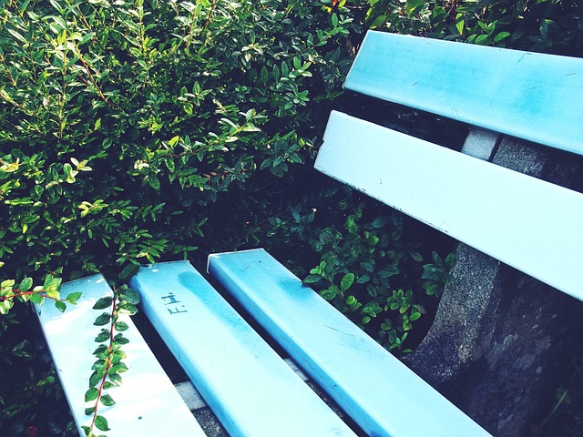 队后场的可 队后场的可