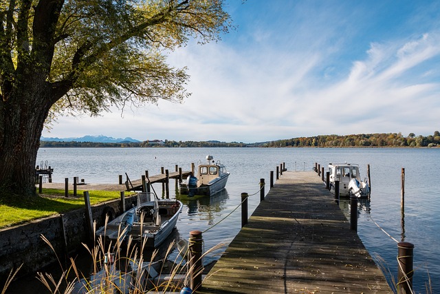 选择也并非 选择也并非